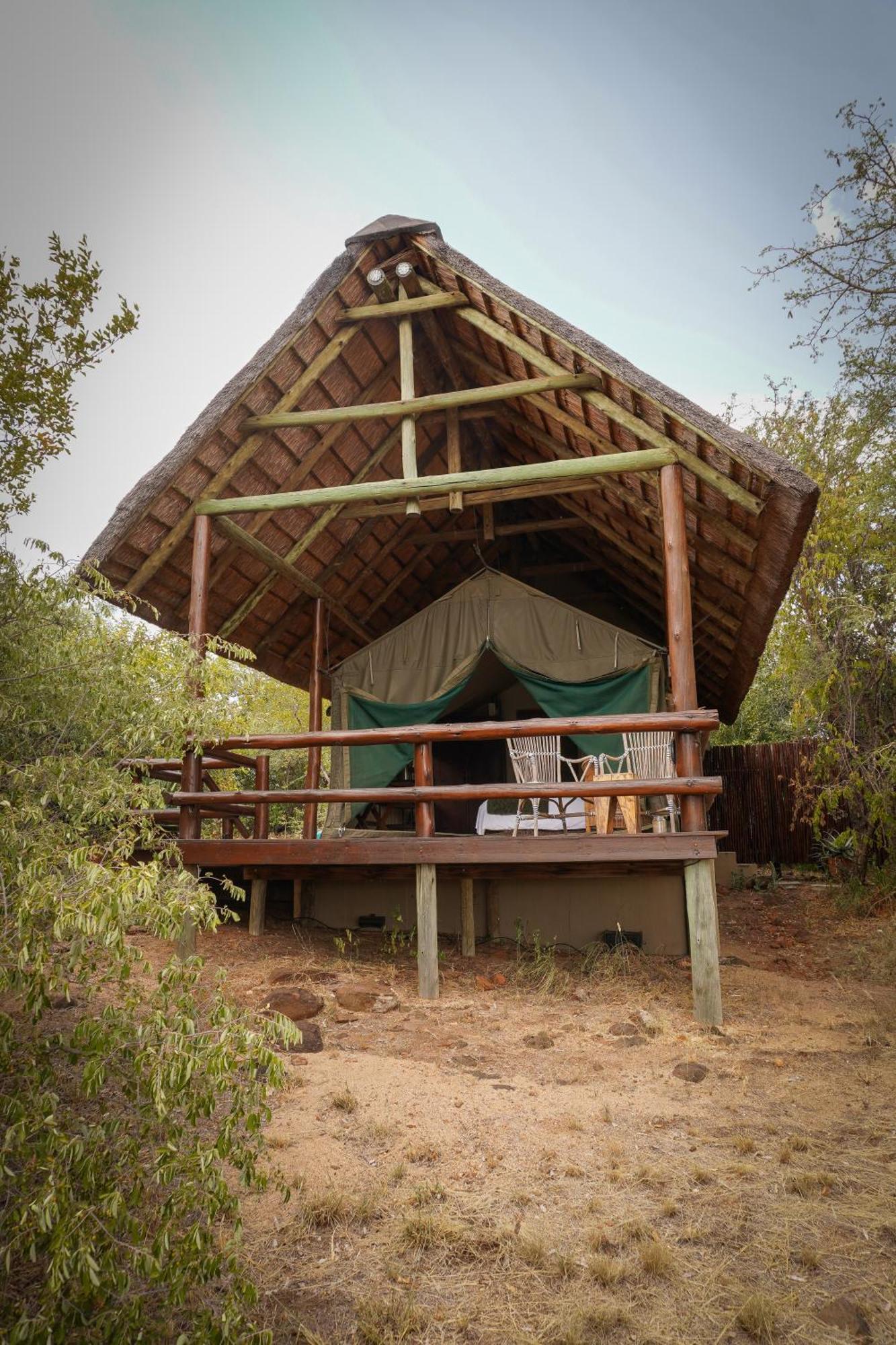 Sausage Tree Safari Camp Balule viltreservat Exteriör bild